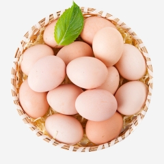 辣木养生鸡蛋 30枚/盒 适合孕妇儿童食用-配额购