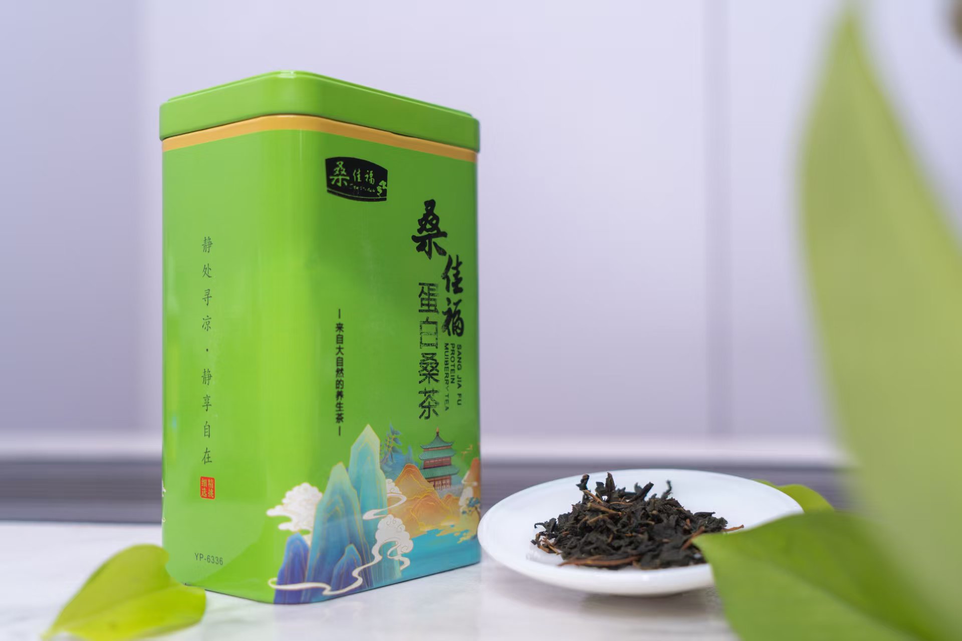 蛋白桑茶