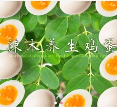 辣木养生鸡蛋-抢购