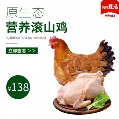 滚山母鸡138元/只